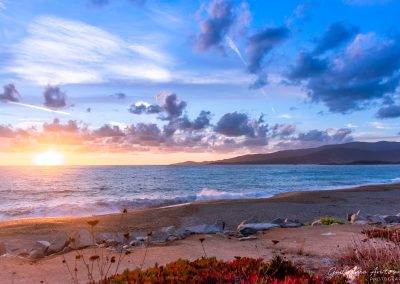 Plage du Liamone